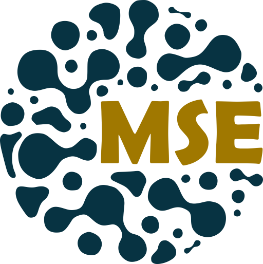 MSE Logo