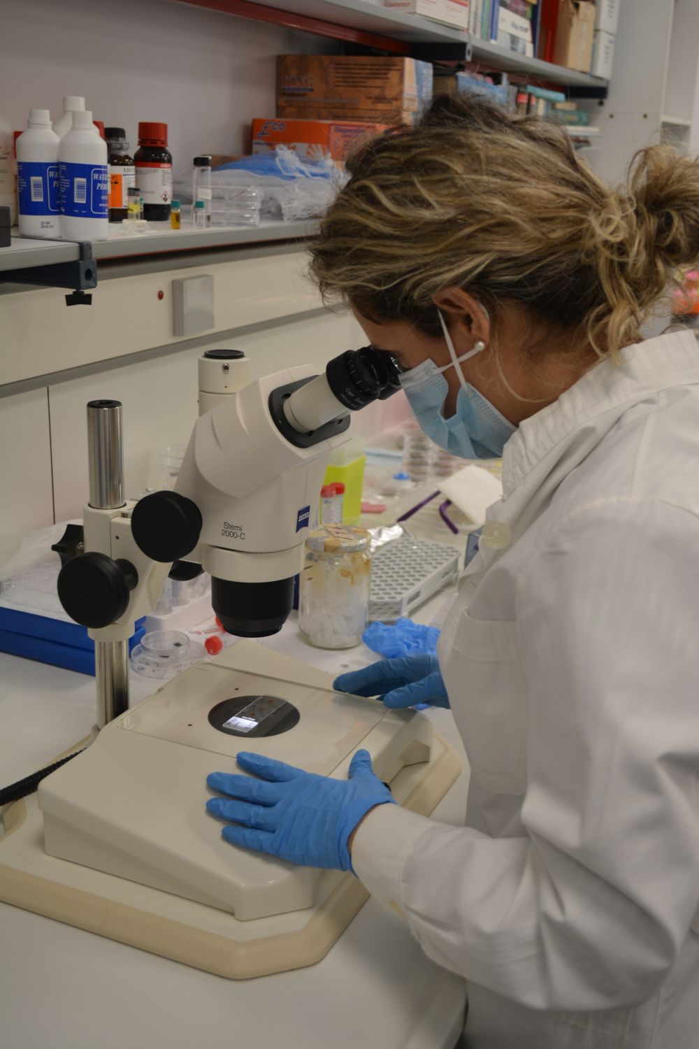 Student conducting an experiment
